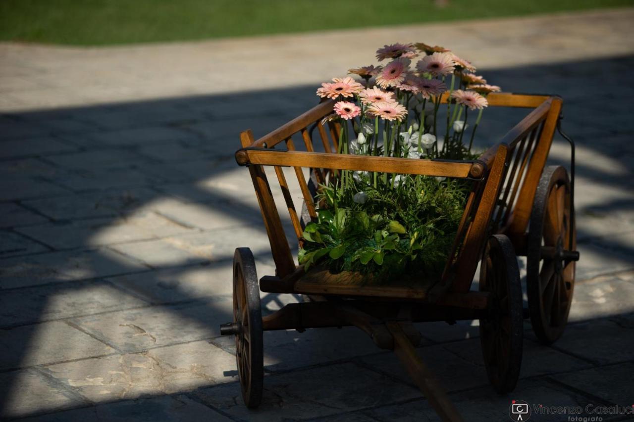 La Dimora Dei Conti Bed & Breakfast Collemeto Dış mekan fotoğraf