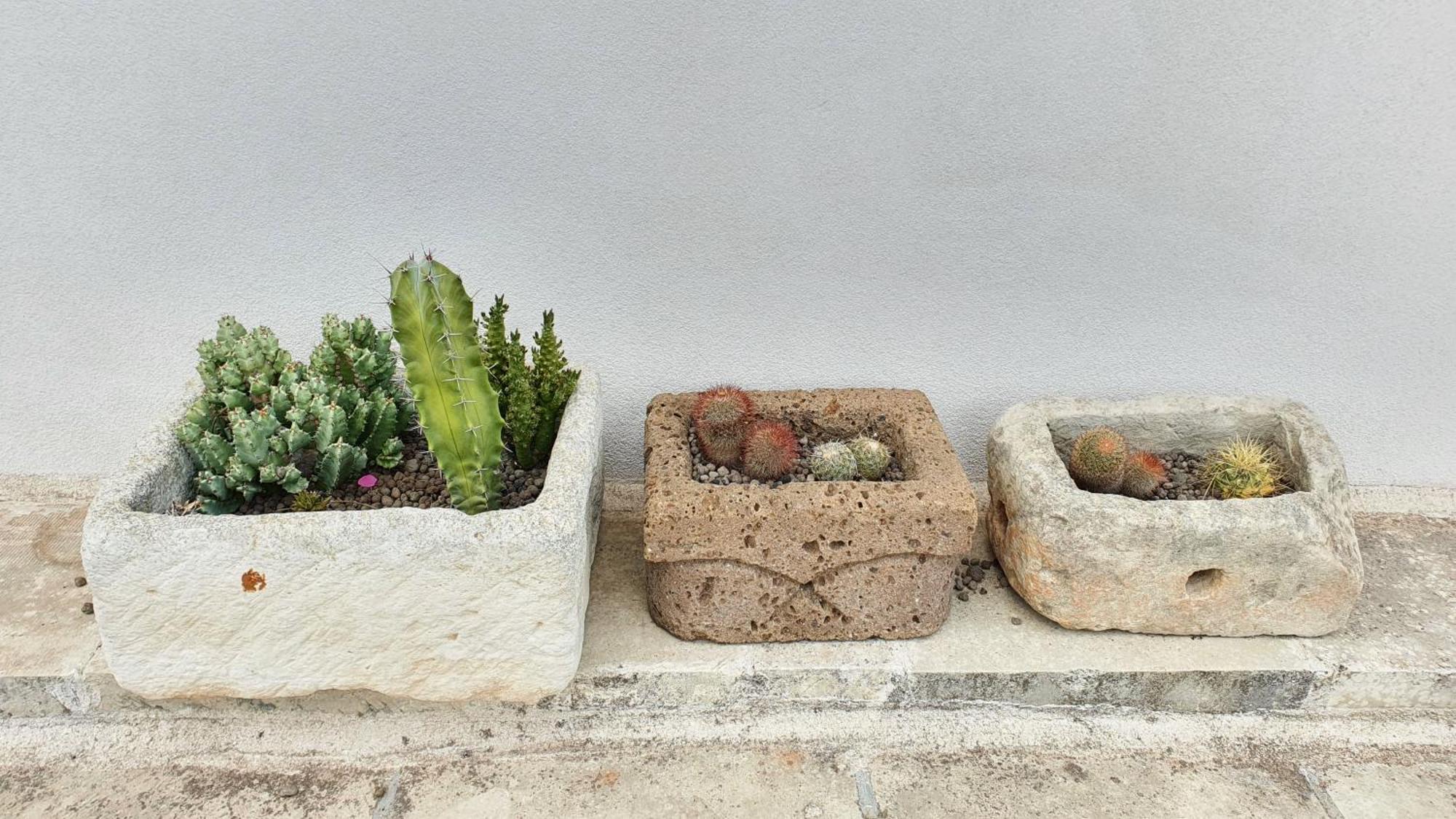 La Dimora Dei Conti Bed & Breakfast Collemeto Dış mekan fotoğraf